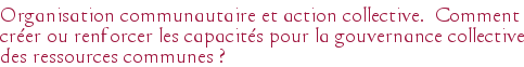Organisation communautaire et action collective. Comment créer ou renforcer les capacités pour la gouvernance collective des ressources communes ?