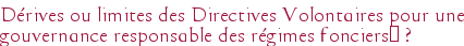 Dérives ou limites des Directives Volontaires pour une gouvernance responsable des régimes fonciers ?