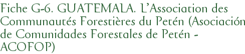 Fiche G-6. GUATEMALA. L'Association des Communautés Forestières du Petén (Asociación de Comunidades Forestales de Petén - ACOFOP)