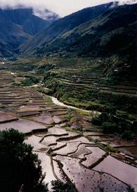 Philippines, Cordillera.