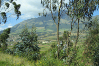 Equateur. 2007. Paysage agraire périurbain dans une ancienne zone de réforme agraire.