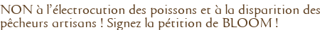 NON à l'électrocution des poissons et à la disparition des pêcheurs artisans ! Signez la pétition de BLOOM !